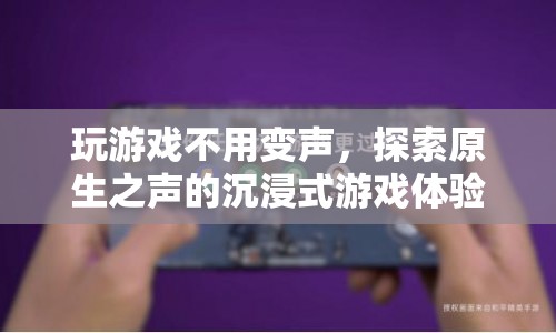 原生之聲，探索無(wú)變聲的沉浸式游戲體驗(yàn)