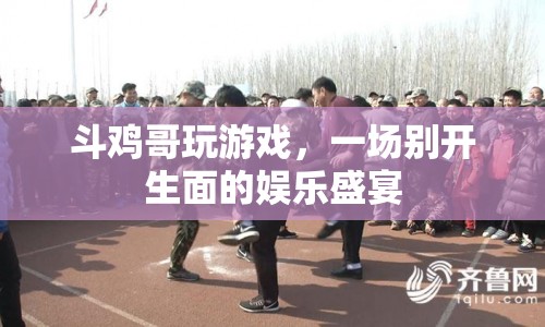 斗雞哥游戲盛宴，娛樂與激情的碰撞