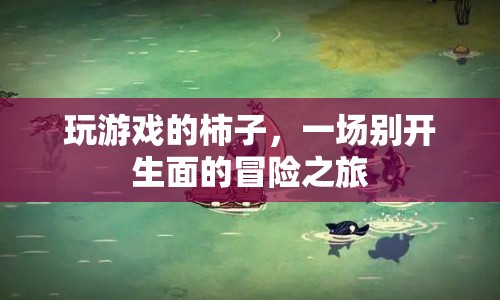 柿子玩游戲，開(kāi)啟一場(chǎng)別開(kāi)生面的冒險(xiǎn)之旅