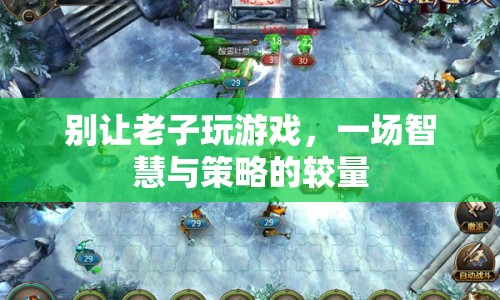 別讓老子玩游戲，智慧與策略的激烈較量