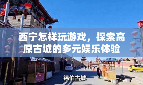 探索西寧多元娛樂，高原古城的游戲之旅
