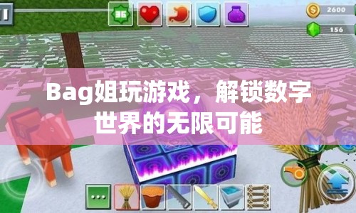 解鎖數(shù)字世界的無限可能，Bag姐的游戲之旅