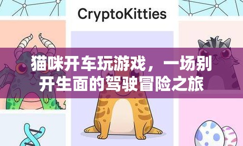 貓咪的駕駛冒險(xiǎn)，一場別開生面的游戲之旅