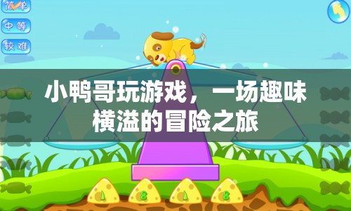 小鴨哥的游戲冒險之旅  第1張