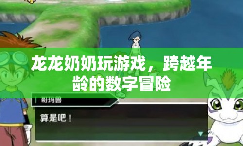 龍龍奶奶的數(shù)字冒險(xiǎn)，跨越年齡的精彩游戲之旅