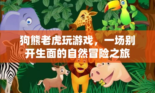 狗熊老虎玩游戲，自然冒險(xiǎn)之旅開啟  第1張