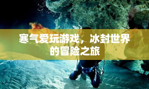 冰封世界的冒險之旅，寒氣愛玩游戲