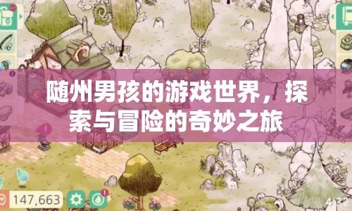 隨州男孩的奇妙游戲世界探險之旅