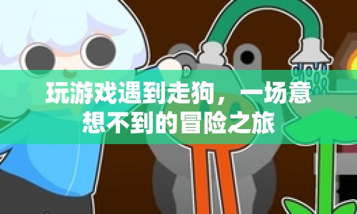 一場意想不到的冒險之旅  第1張