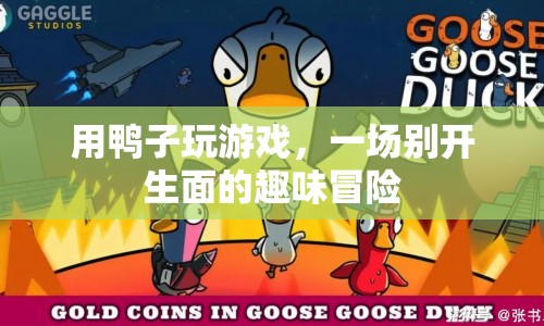 鴨子游戲，一場趣味橫生的冒險之旅