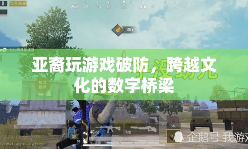 亞裔玩家破防，數(shù)字橋梁連接多元文化