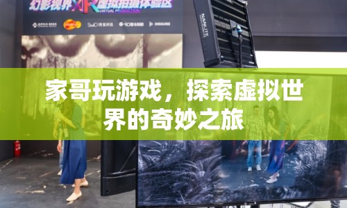 家哥探索虛擬世界的奇妙之旅