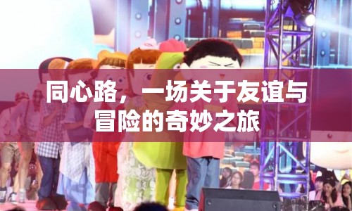 同心路，友誼與冒險(xiǎn)的奇妙之旅