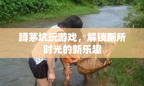 廁所時光新樂趣，蹲茅坑玩游戲