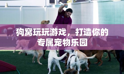 打造專屬寵物樂園，狗窩游戲新體驗(yàn)