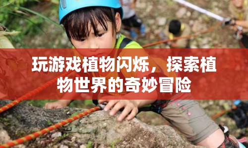 探索植物世界的奇妙冒險(xiǎn)，植物閃爍游戲