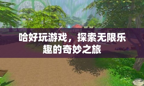 探索無(wú)限樂(lè)趣，哈好玩游戲的奇妙之旅