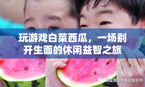 一場別開生面的休閑益智之旅，玩游戲白菜西瓜