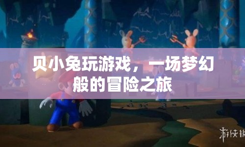 貝小兔的夢幻冒險(xiǎn)之旅  第1張