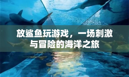 放鯊魚玩游戲，一場(chǎng)刺激與冒險(xiǎn)的海洋之旅  第1張