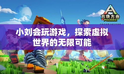 小劉探索虛擬世界的無(wú)限可能