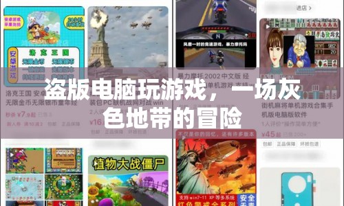 盜版電腦游戲，灰色地帶的冒險之旅
