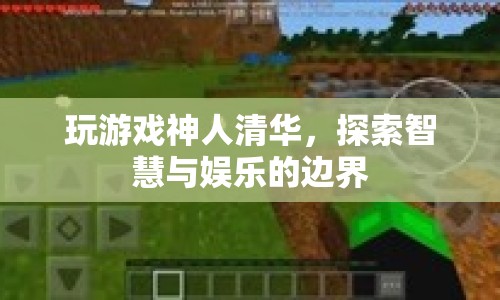 清華學(xué)霸游戲大神，智慧與娛樂的邊界探索