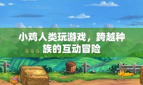 小雞與人類，跨越種族的互動冒險