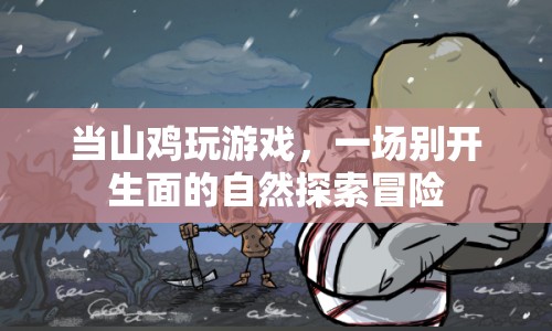 山雞游戲，自然探索冒險(xiǎn)之旅