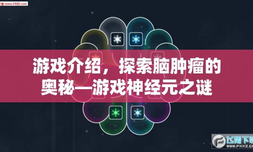 游戲神經(jīng)元之謎，探索腦腫瘤奧秘的冒險(xiǎn)之旅