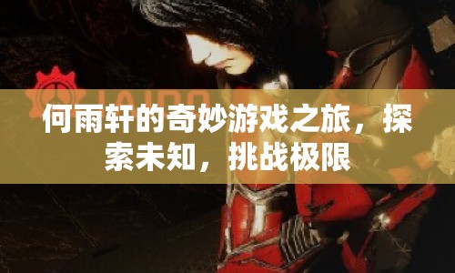 何雨軒的奇妙游戲之旅，探索未知，挑戰(zhàn)極限