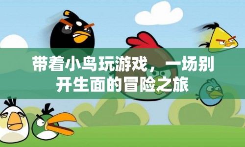 小鳥伴游，一場(chǎng)別開生面的冒險(xiǎn)之旅