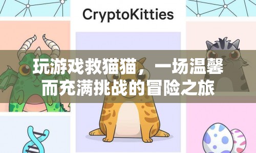 拯救貓咪，一場溫馨又充滿挑戰(zhàn)的冒險(xiǎn)之旅