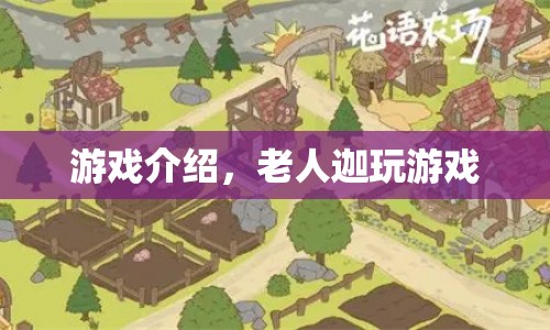 老人迦玩游戲，探索游戲世界的奇妙之旅