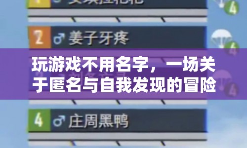 匿名冒險(xiǎn)，一場(chǎng)關(guān)于自我發(fā)現(xiàn)的神秘之旅