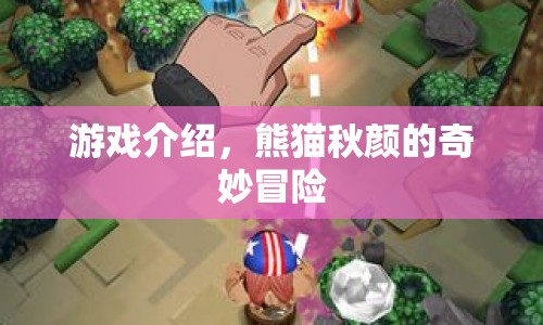 熊貓秋顏的奇妙冒險(xiǎn)，一場(chǎng)冒險(xiǎn)之旅的啟程