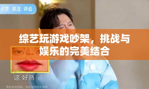 綜藝游戲中吵架，挑戰(zhàn)與娛樂(lè)的碰撞  第1張