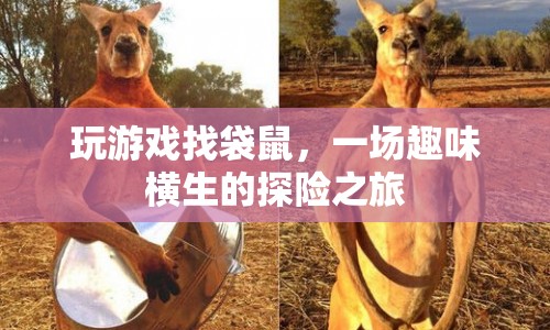 袋鼠探險，一場趣味橫生的游戲之旅