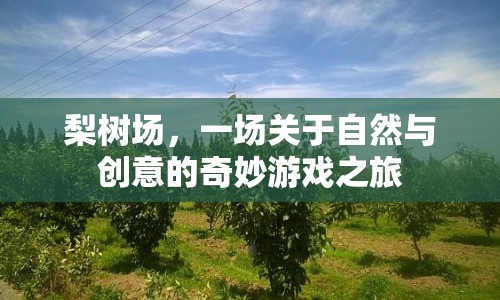 梨樹(shù)場(chǎng)，自然與創(chuàng)意的奇妙游戲之旅