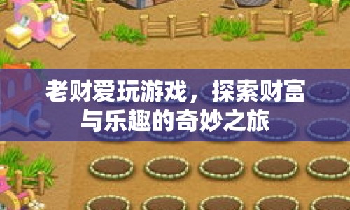 老財(cái)?shù)呢?cái)富與樂(lè)趣之旅，探索奇妙游戲世界