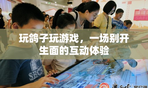 玩鴿子玩游戲，一場(chǎng)別開(kāi)生面的互動(dòng)體驗(yàn)