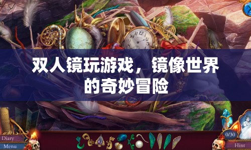 雙人鏡玩游戲，鏡像世界的奇妙冒險(xiǎn)  第1張