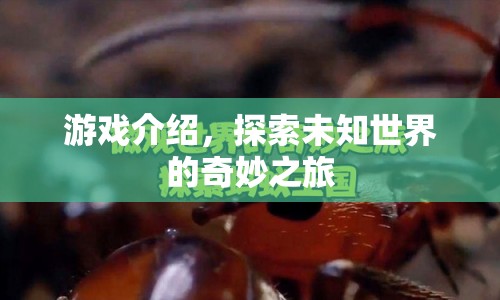 探索未知世界的奇妙之旅，一場精彩絕倫的游戲之旅