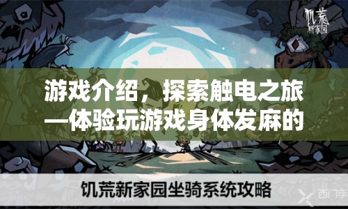 觸電之旅，體驗身體發(fā)麻的奇妙冒險