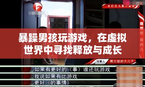暴躁男孩在虛擬游戲中尋找釋放與成長之路