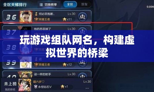 虛擬世界的橋梁，玩游戲組隊(duì)網(wǎng)名  第1張