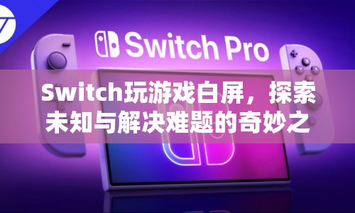 Switch游戲白屏，探索未知與解決難題的奇妙之旅