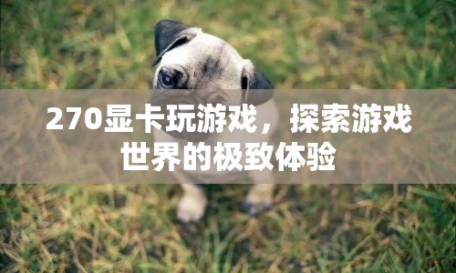 270顯卡，探索游戲世界的極致體驗