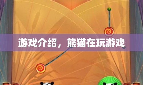 熊貓歡樂游戲，熊貓的奇妙冒險之旅