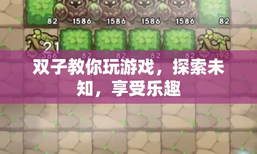 探索未知，享受樂趣，雙子帶你玩轉游戲世界  第1張